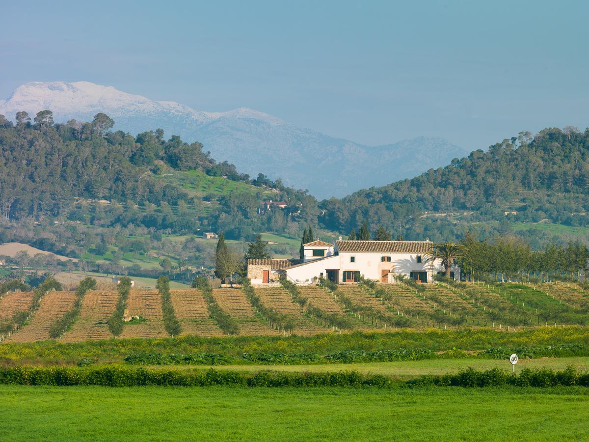 Agroturisme Gossalba Sant Joan Zewnętrze zdjęcie